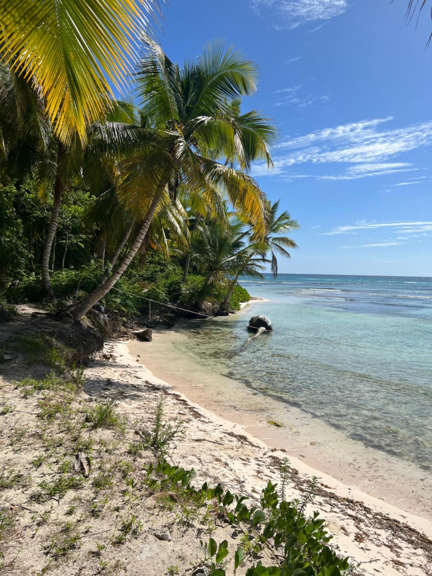 Ducassi - Sol Caribe Appartahotel Punta Cana Bavaro Dış mekan fotoğraf